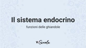 il-sistema-endocrino